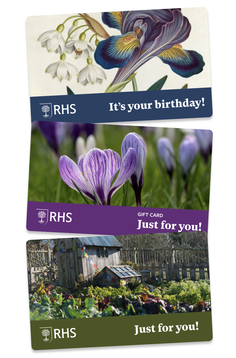 3 RHS Gioft card images