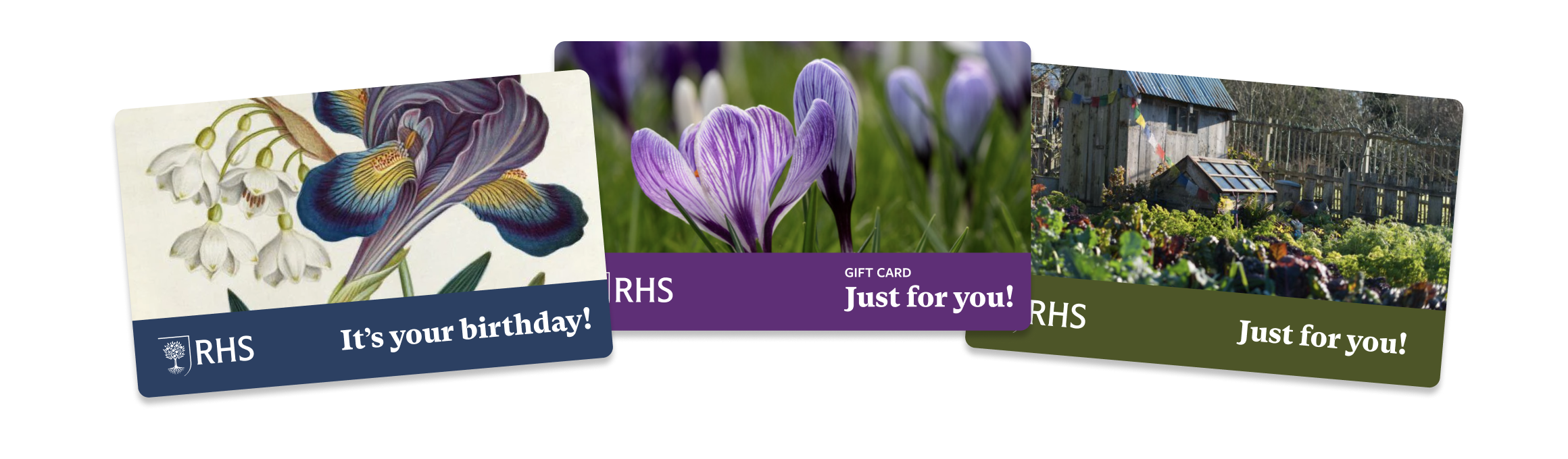 3 RHS Gioft card images